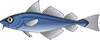 Zoutorias